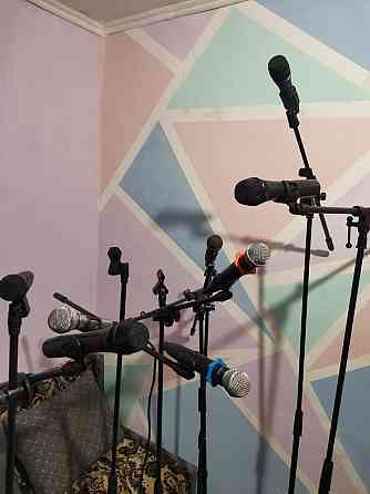 Микрофон,стойки,радио микрофоны Urochishche Talgarbaytuma