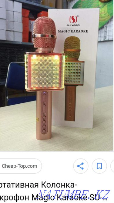 Microphone YS 86 Atyrau - photo 4