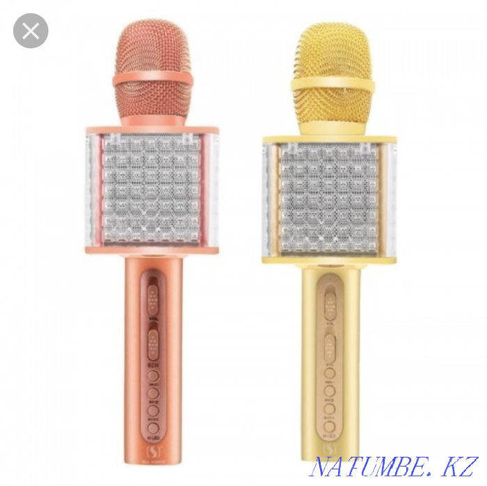 Microphone YS 86 Atyrau - photo 2