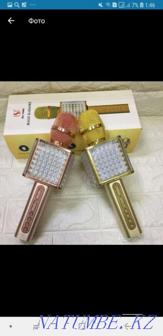 Microphone YS 86 Atyrau - photo 6