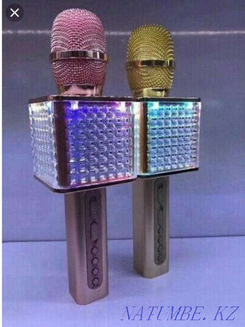 Microphone YS 86 Atyrau - photo 3