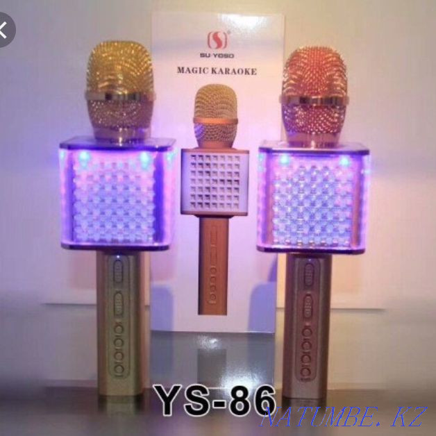 Microphone YS 86 Atyrau - photo 1