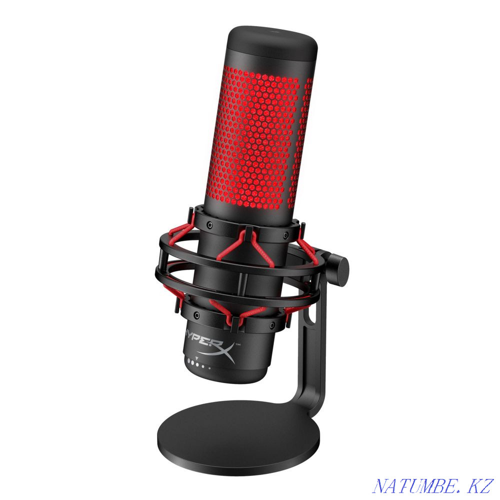 Микрофон Сатпаев - изображение 2