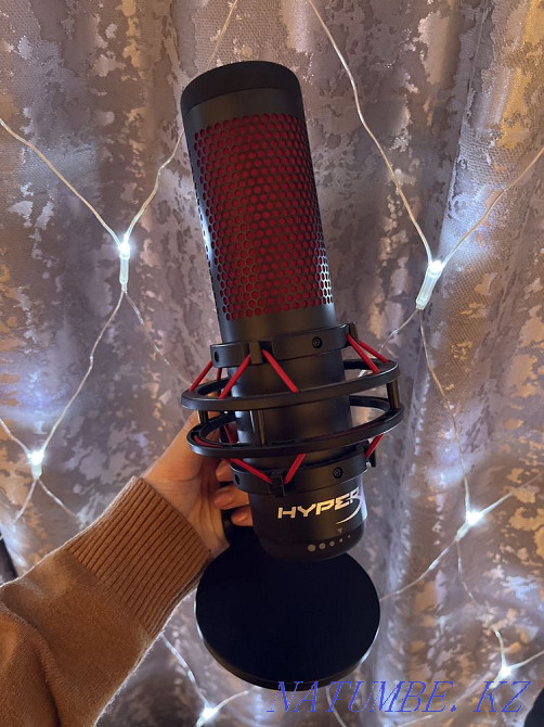 Микрофон Сатпаев - изображение 1