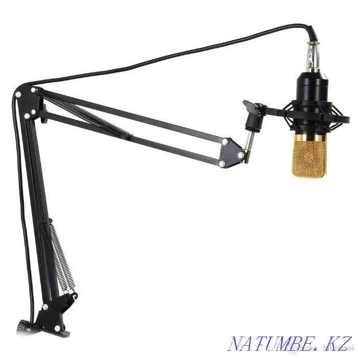Pantograph Desktop Microphone Stand, Pop Filter (NB 35 BM800) Almaty - photo 1