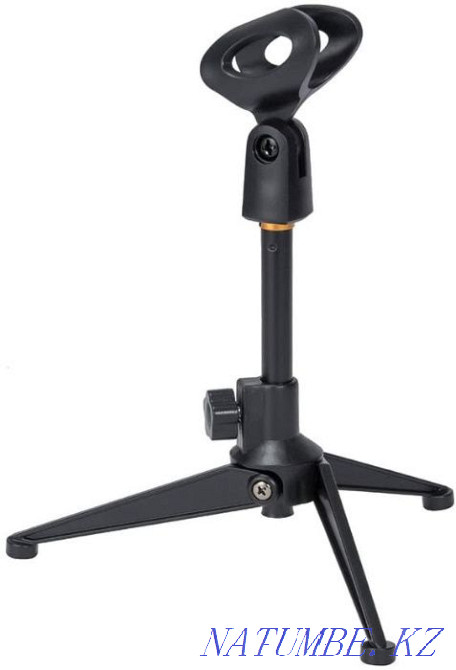 Pantograph Desktop Microphone Stand, Pop Filter (NB 35 BM800) Almaty - photo 3