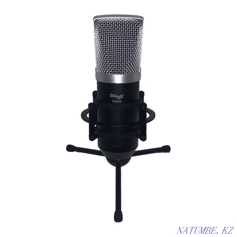 Sum 40. Professional Condenser Microphone. Микрофон для подкастов. Микрофон Stagg sim20, черный. USB микрофон Stagg susm50.