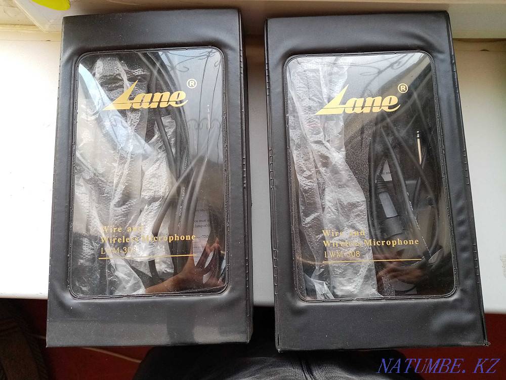 микрофоны профессиональные для караоке или выступлений 2 шт Кызылорда - изображение 1