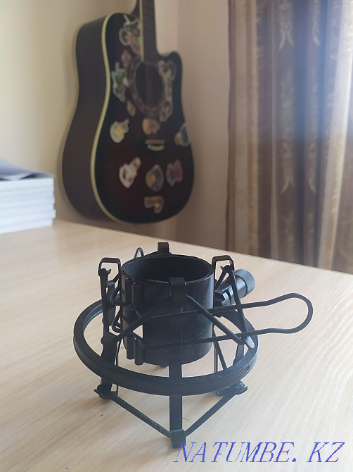 Өрмекші, дірілге қарсы микрофон қондырғысы  Астана - изображение 2