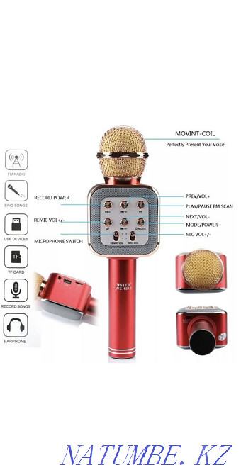 Сымсыз караоке микрофоны, Bluetooth Q10  Қарағанды - изображение 1