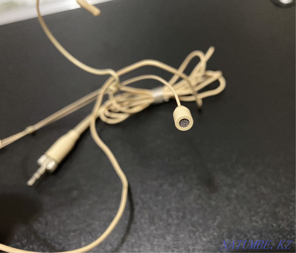 Nude Head Microphone Astana - photo 2