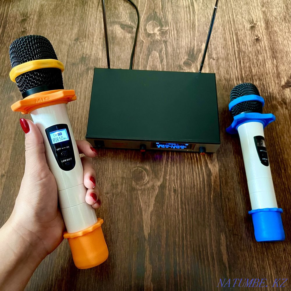 .A~R~E~N~D~A. Professional microphones! Microphone stand! Almaty - photo 5