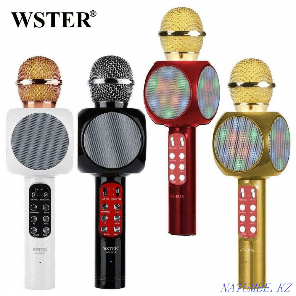 Karaoke microphone Petropavlovsk - photo 1