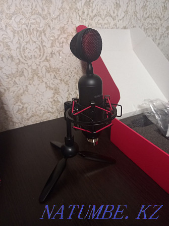 studio microphone Oral - photo 5
