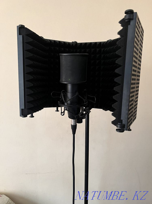 Үй жазу студиясы  Қарағанды - изображение 1