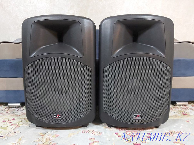 Испан пассивті спикерлері DAS AUDIO DS115  Алматы - изображение 1