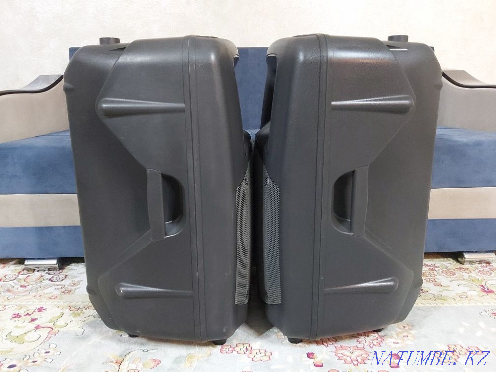 Spanish passive speakers DAS AUDIO DS115 Almaty - photo 3