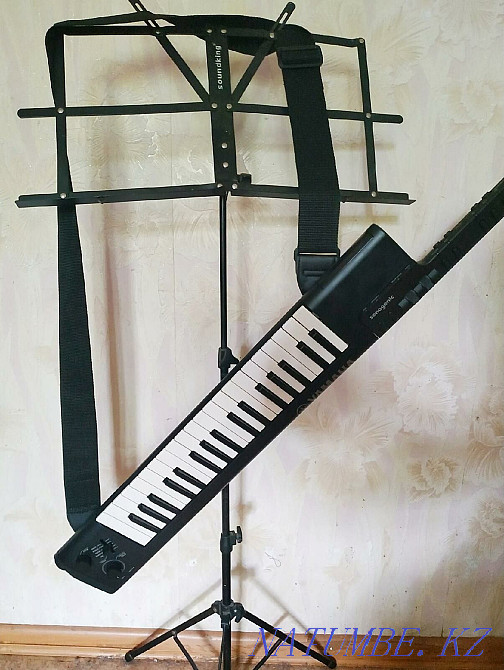 Синтезатор, электрогитара,микшер,колонка,стойка,пюпитр,чехол, Караганда - изображение 2