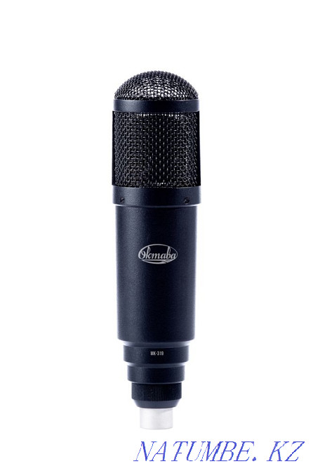 Студийный монитор и микрафон Oktava mk 319 Уральск - изображение 1