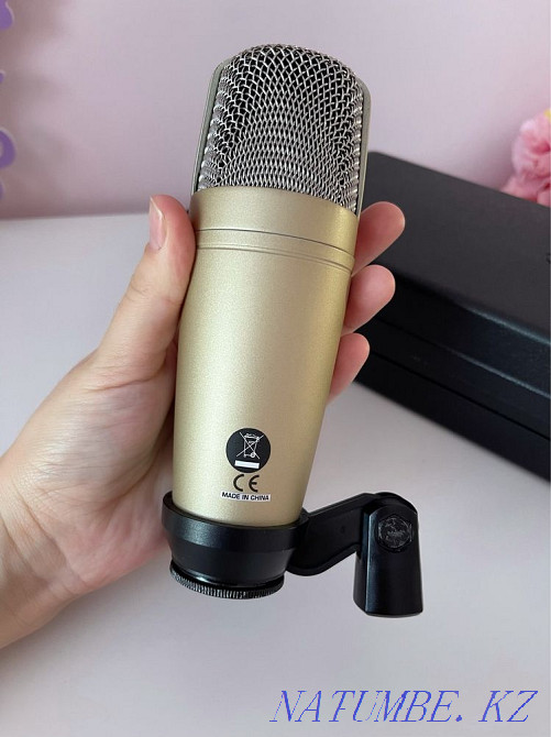 Микрофон Behringer C-1 күміс  Астана - изображение 3