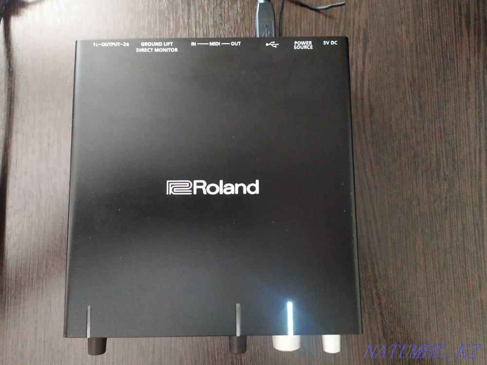 Внешняя Звуковая Карта Roland Rubix 22 Семей - изображение 3