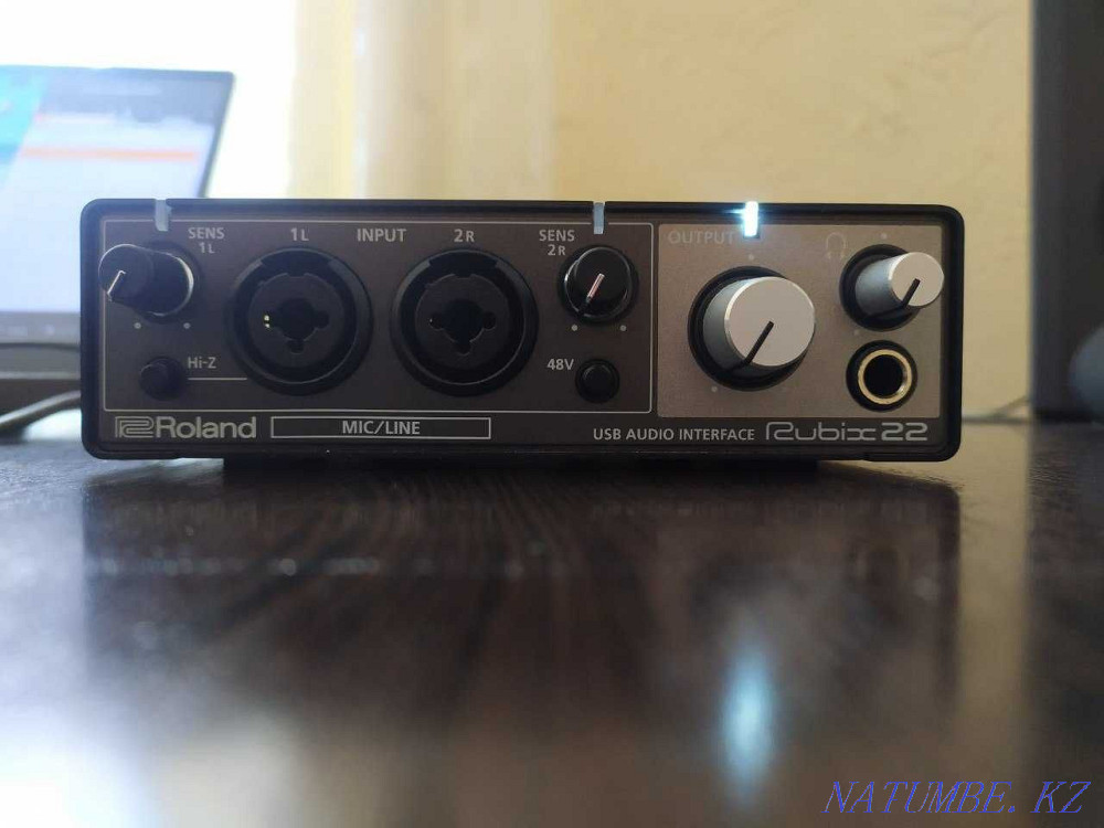 Внешняя Звуковая Карта Roland Rubix 22 Семей - изображение 1