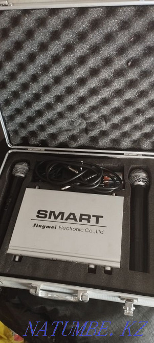 Remote microphone smart Shymkent - photo 1