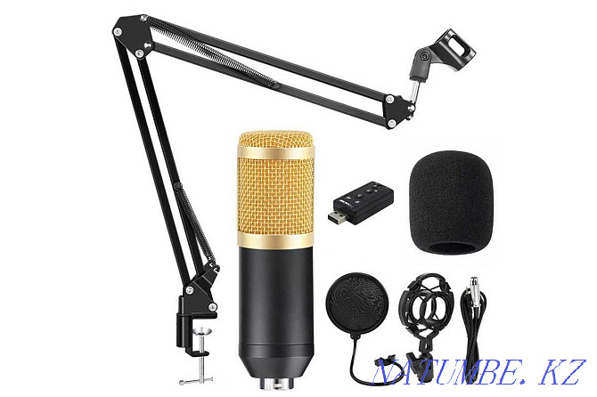 Studio microphone BM 800, complete set. Sale all year long! Almaty - photo 1