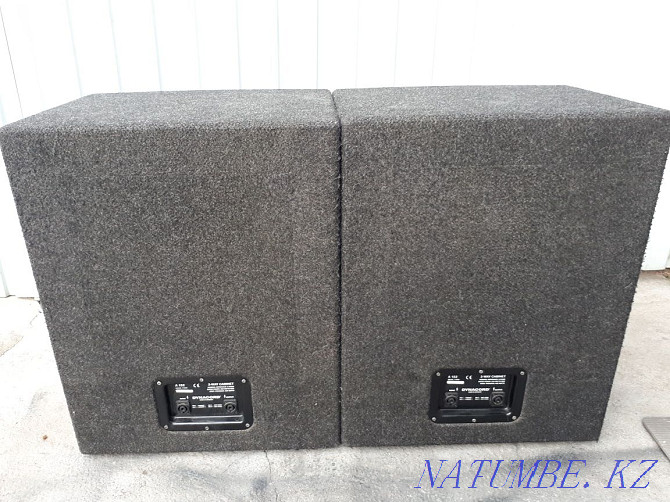 Cases from speakers DYNACORD A152 Almaty - photo 3