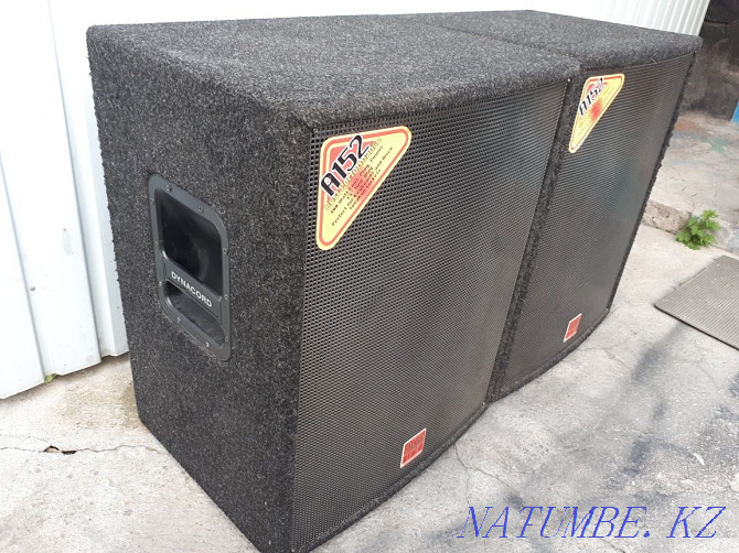 Cases from speakers DYNACORD A152 Almaty - photo 1