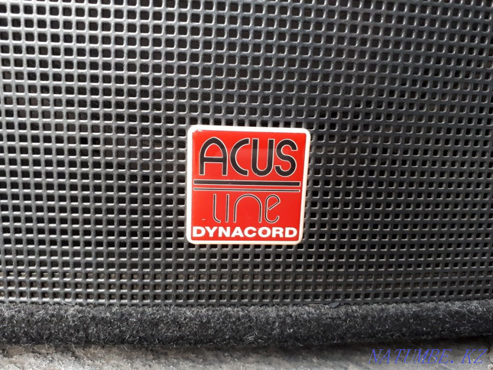 Cases from speakers DYNACORD A152 Almaty - photo 5