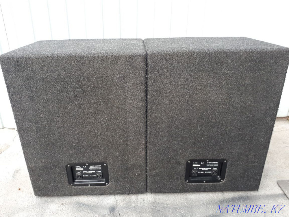 Cases from speakers DYNACORD A152 Almaty - photo 3