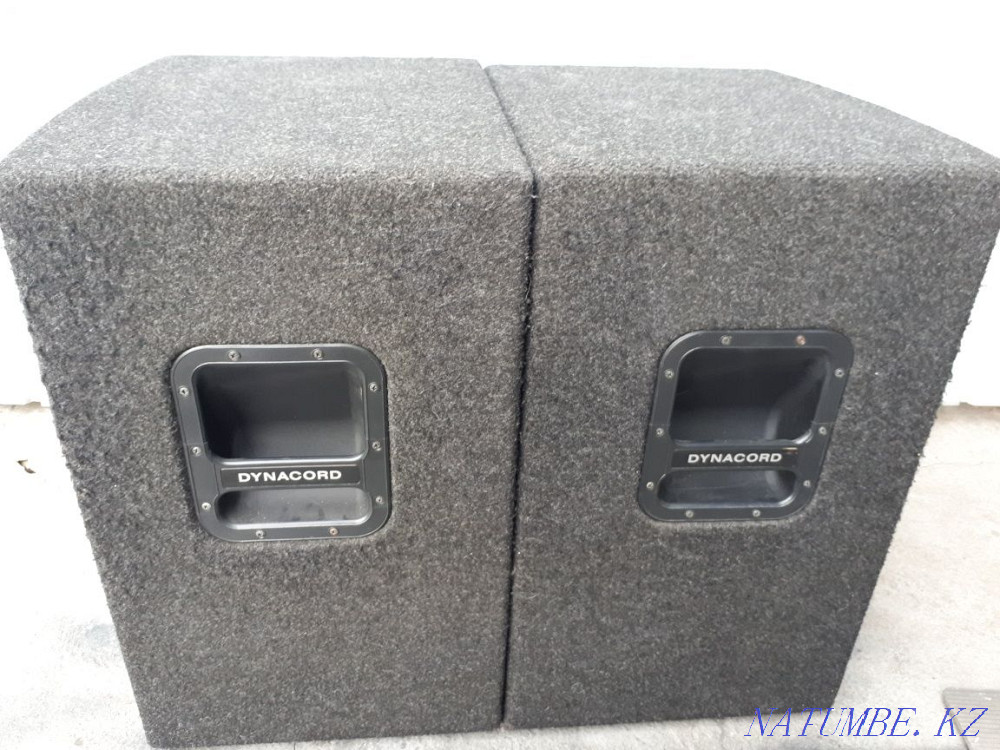 Cases from speakers DYNACORD A152 Almaty - photo 4