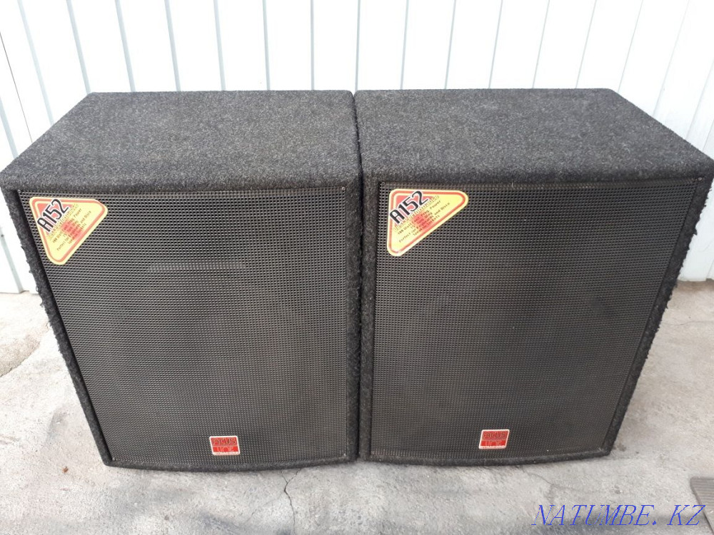 Cases from speakers DYNACORD A152 Almaty - photo 2
