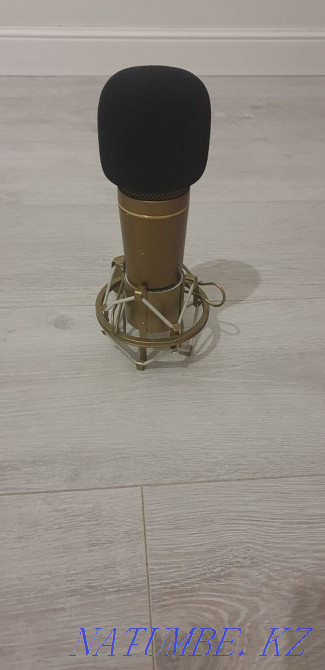 Микрофон студийный Auna CM600 Астана - изображение 2