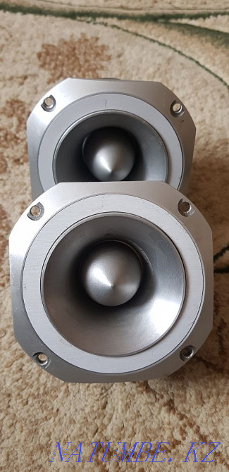 Branded tweeters Taraz - photo 1