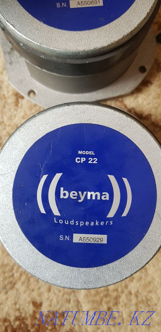 Branded tweeters Taraz - photo 5