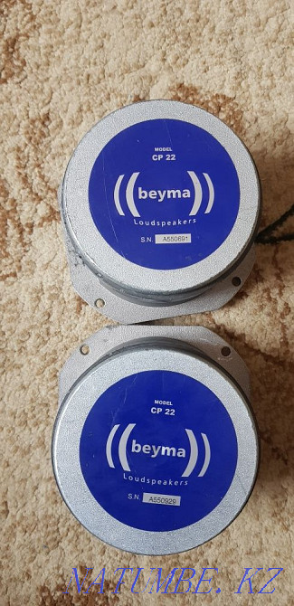 Branded tweeters Taraz - photo 3