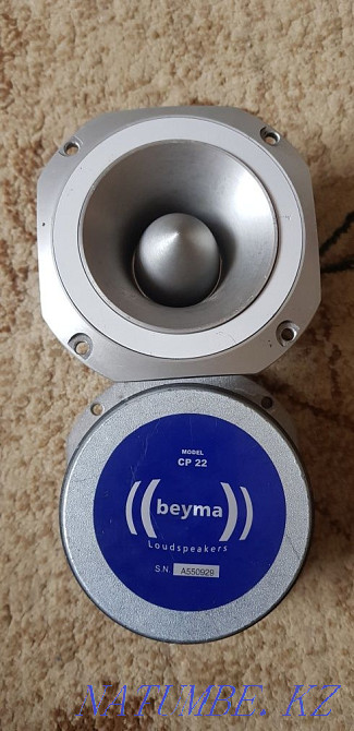 Branded tweeters Taraz - photo 4