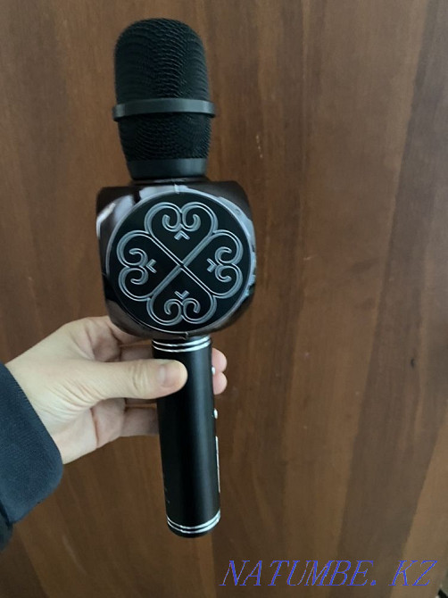 Microphone Kostanay - photo 1