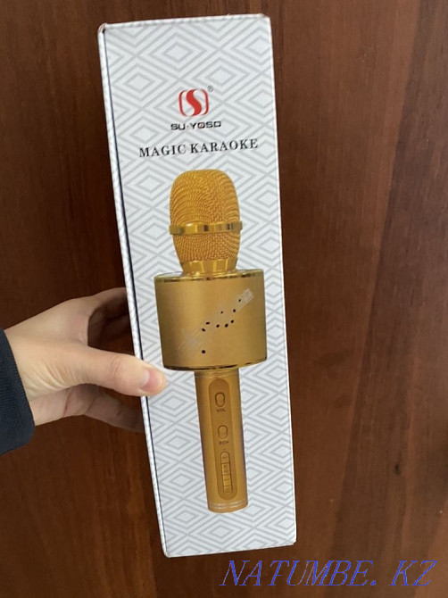 Microphone Kostanay - photo 2