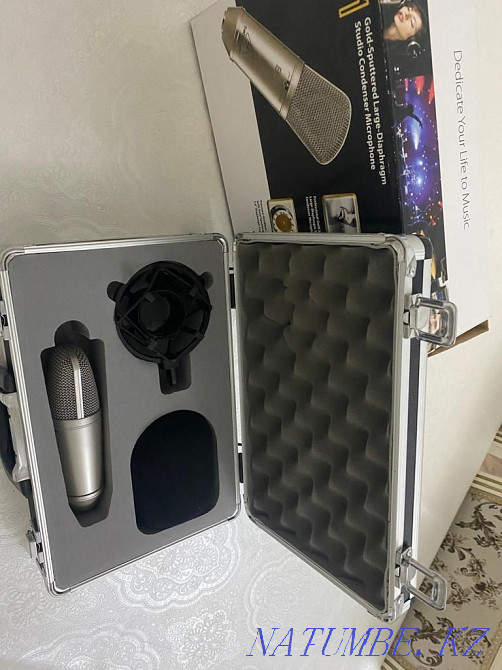 Качественный микрофон Behringer B1 для звукозаписи Кызылорда - изображение 2