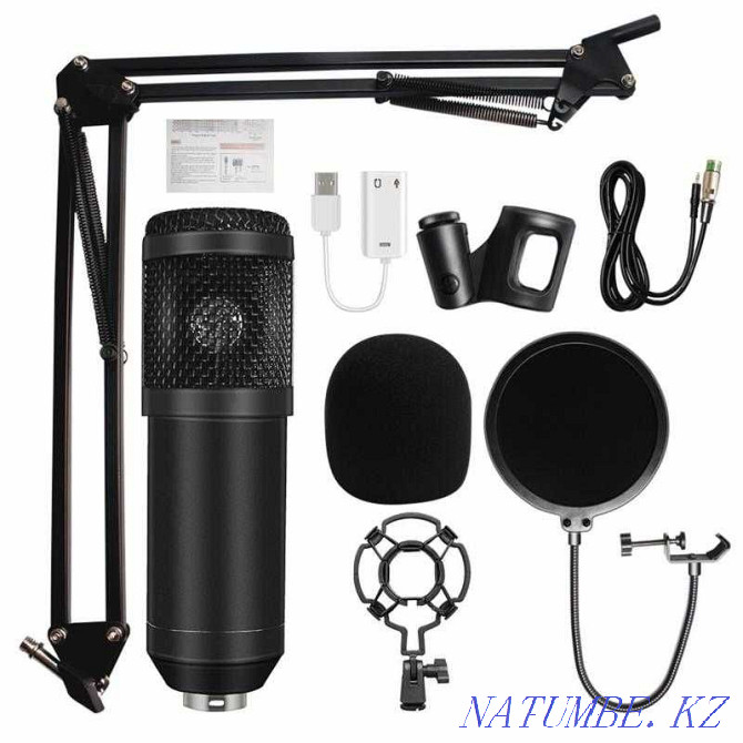 BM800 professional condenser microphone, included Astana - photo 1