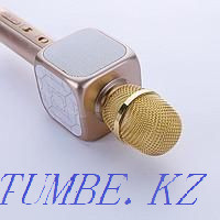 Karaoke microphone Astana - photo 2