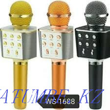 Karaoke microphone Astana - photo 4