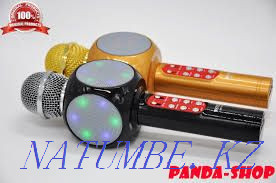 Karaoke microphone Astana - photo 3