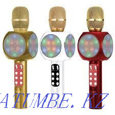 Karaoke microphone Astana - photo 6