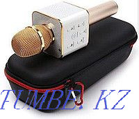 Karaoke microphone Astana - photo 1