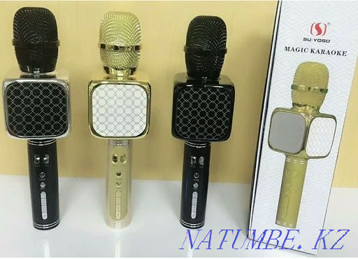 Karaoke microphone / Microphone / Karaoke microphone / Karaoke microphone Astana - photo 3