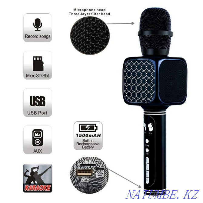 Karaoke microphone / Microphone / Karaoke microphone / Karaoke microphone Astana - photo 2